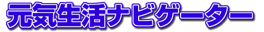 ���C�����i�r�Q�[�^�[