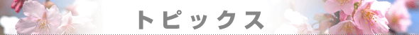 �g�s�b�N�X